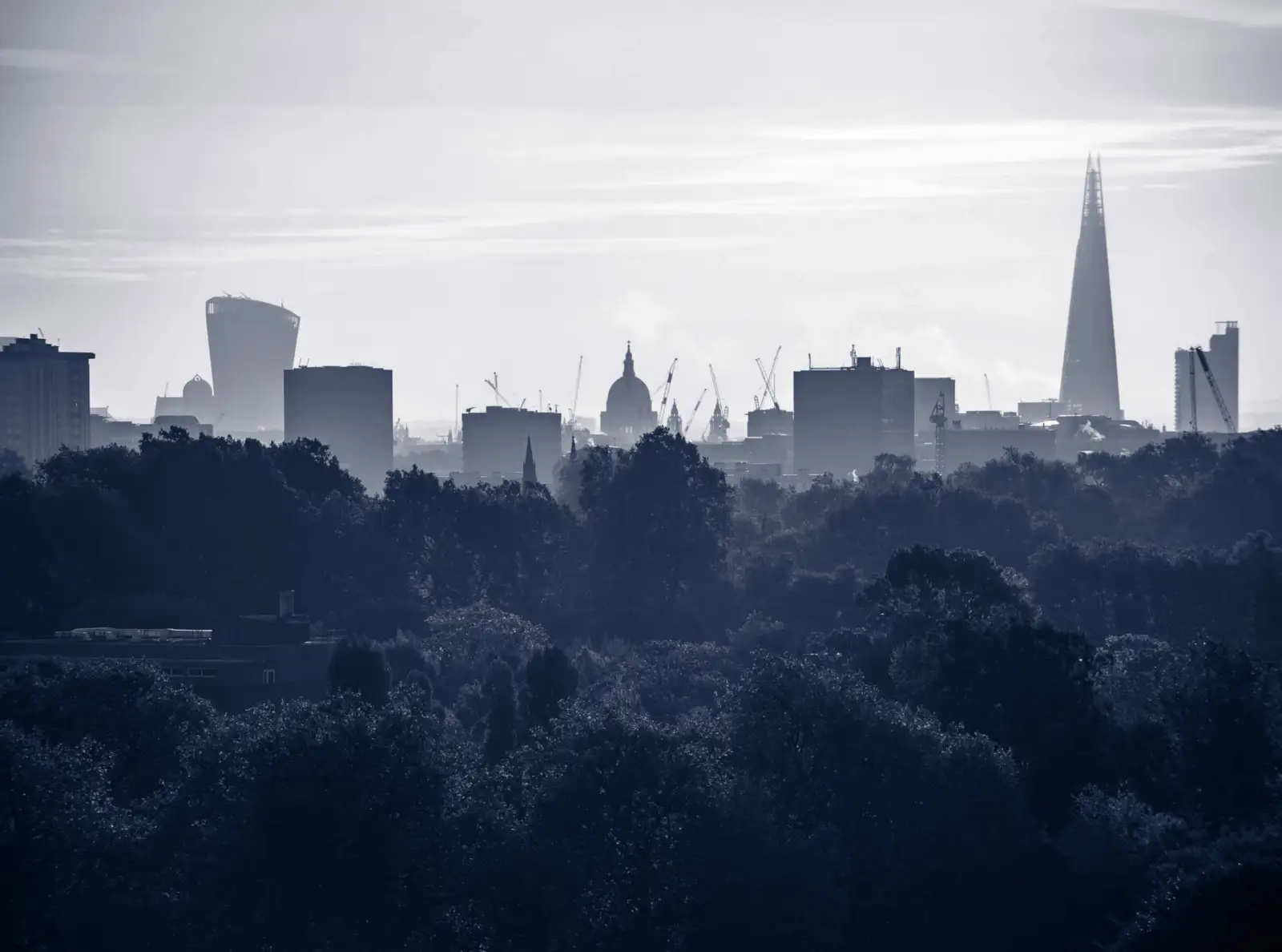 Town & Country - London Skyline Banner